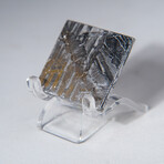 Seymchan Meteorite Square Slice With Display Box // 15.8g