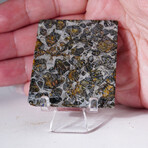 Seymchan Meteorite Slice With Display Box // 25.4g