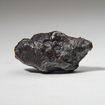 Sikhote-Alin Meteorite In Display Box // 99.5g
