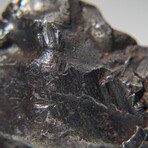 Sikhote-Alin Meteorite In Display Box // 87.7g
