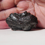 Sikhote-Alin Meteorite In Display Box // 62.2g