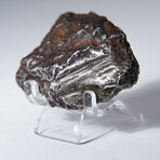 Sikhote-Alin Meteorite In Display Box // 95.4g