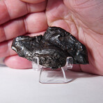 Sikhote-Alin Meteorite In Display Box // 72.5g