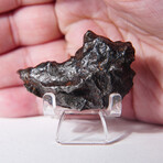 Sikhote-Alin Meteorite In Display Box // 78.5g