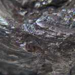Sikhote-Alin Meteorite In Display Box // 62.2g
