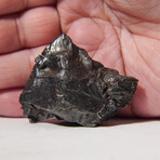 Sikhote-Alin Meteorite In Display Box // 87.7g