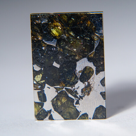 Seymchan Meteorite Slice With Display Box // 5.4g