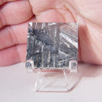Seymchan Meteorite Square Slice With Display Box // 15.8g
