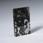 Seymchan Meteorite Slice With Display Box // 5.4g