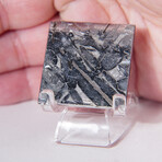 Seymchan Meteorite Square Slice With Display Box // 13.8g