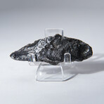Sikhote-Alin Meteorite In Display Box // 50g