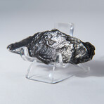 Sikhote-Alin Meteorite In Display Box // 50g