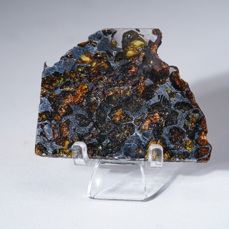 Seymchan Meteorite Slice With Display Box // 20.7g