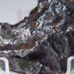 Sikhote-Alin Meteorite In Display Box // 78.5g