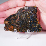 Seymchan Meteorite Slice With Display Box // 26g