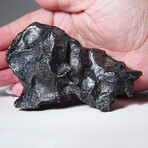 Sikhote-Alin Meteorite With Acrylic Display Stand // 760g