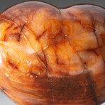 Polished Carnelian Heart With Acrylic Display Stand