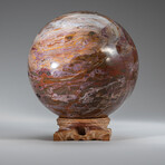 Polished Petrified Wood Sphere With Display Stand
