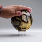 Polished Septarian Sphere With Acrylic Display Stand