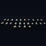 25 Pre-Inca Arrowheads // c. 1500 BC - 400 AD