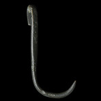 Ancient Roman Fish Hook // Biblical Reference