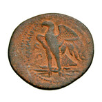 Ptolemaic Egypt // Ptolemy I, 305-282 BC // Bronze Coin