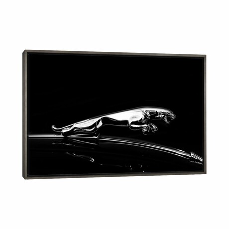 Jaguar by Mark Rogan (18"H x 26"W x 0.75"D)