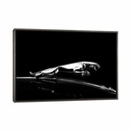 Jaguar by Mark Rogan (18"H x 26"W x 0.75"D)