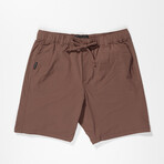 Trailhead Adventure Shorts // Brown (Small)