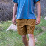 Trailhead Adventure Shorts // Sand (Small)