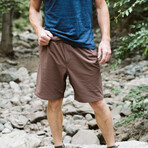 Trailhead Adventure Shorts // Brown (Small)