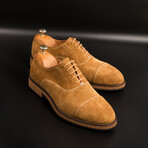 Skollis Dress Shoe // Tobacco (Euro: 45)