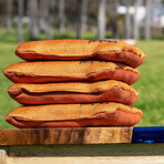 Dual Sided Cornhole Bags (Orange Horizon)