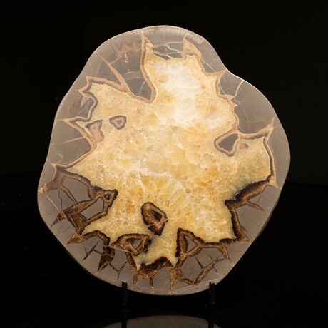 Septarian Stone Slice