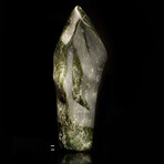 Nephrite Jade Freeform // 20 Lb.