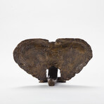 Alabama Crimson Tide // The Bama Beast '17 Sculpture // Limited Edition Collegiate Bronze