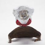 Georgia Bulldogs // Dawg Sculpture // Limited Edition Collegiate Bronze