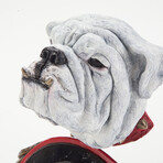 Georgia Bulldogs // Dawg Sculpture // Limited Edition Collegiate Bronze