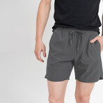 Wave Accent Essential Shorts // Gray (S)