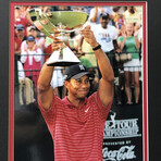 Tiger Woods // Authentic 2007 Fedex Cup Ticket Collage // Framed