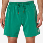 Sandbar Garment Dye Short // Club Green (XS)