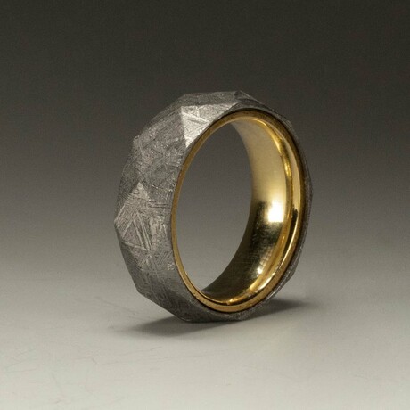 Gibeon Meteorite Ring // Silver and Gold // Size 6