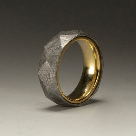 Gibeon Meteorite Ring // Silver and Gold // Size 7.5