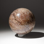 Polished Dinosaur Bone Sphere With Acrylic Display Stand