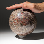 Polished Dinosaur Bone Sphere With Acrylic Display Stand