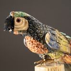 Genuine Polished Hand Carved Parrot