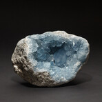 Genuine Blue Celestite Geode // 7.6lb
