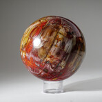 Genuine Polished Petrified Wood Sphere