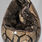 Genuine Septarian Druzy Egg V2