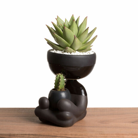 Robert Zen Jr // Black